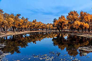 育碧多款老游戏将在今天停止在线服务